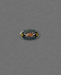 2025 Thunder Beach Autumn Rally Official Pin Logo Rally